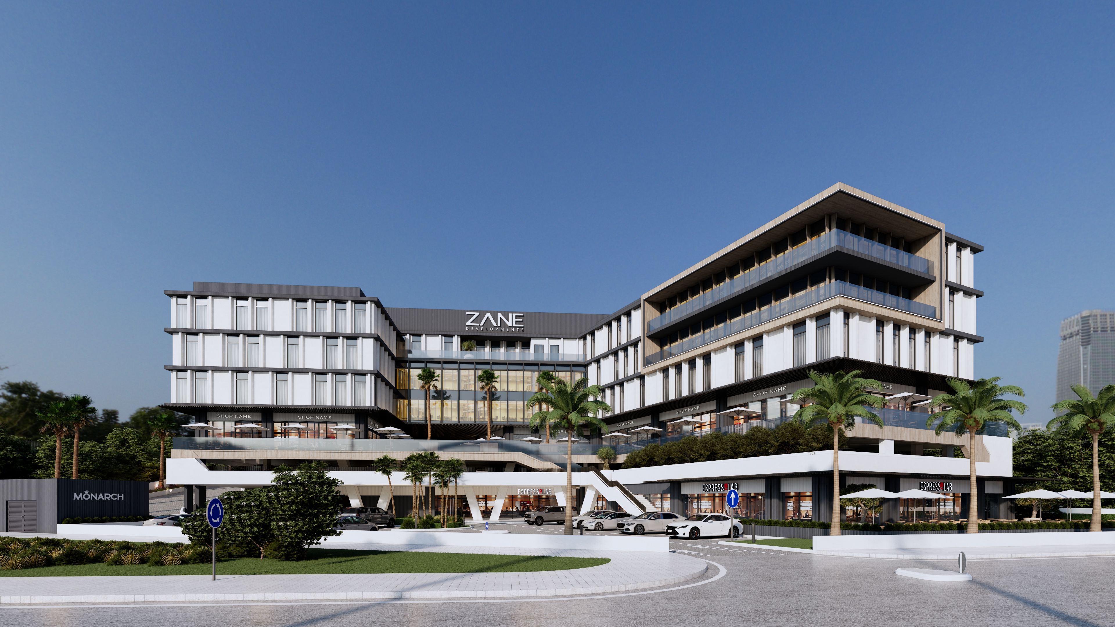 ZANE Development Process